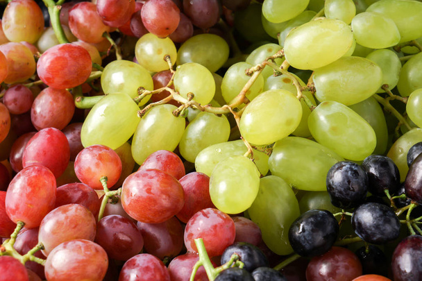 Variety of fresh sweet grapes - Photo, Image