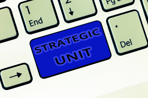 Kézírás szöveg Stratégiai Egység. A koncepció azt jelenti, hogy a profitközpont a termékkínálatra és a piaci szegmensre összpontosít. - Fotó, kép