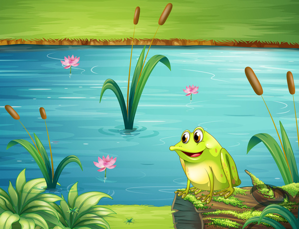 žába na břehu řeky - Vektor, obrázek