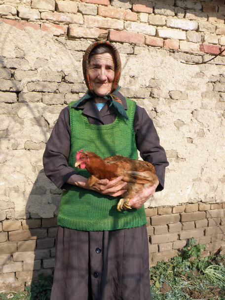 Východní Evropské zemědělce stařena v ruce drží kuře - Fotografie, Obrázek