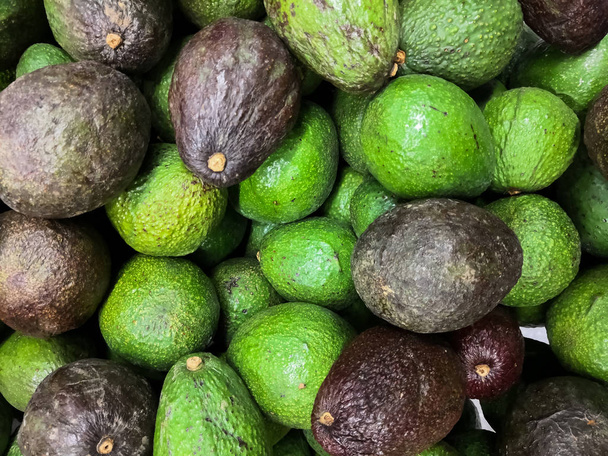 Heap of Hass avocado (Bilse avocado). Dark green and green colored, bumpy skin avocado cultivar. Persea americana. Rudolph Hass. - Photo, Image