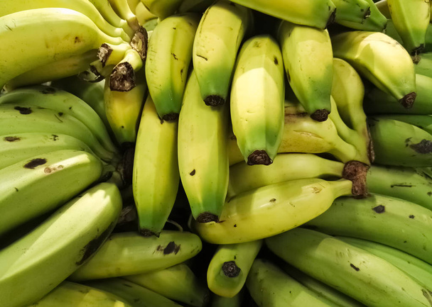 Pyszne banany w klastrze. Dojrzewanie to owoc tropikalny: zielone i żółte banany. - Zdjęcie, obraz