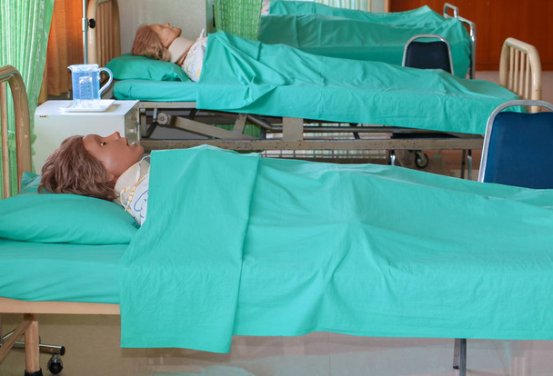 Mannequin médical à l'hôpital, formation Cours de médecine éducation sur lit et couverture verte
 - Photo, image