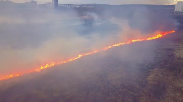 Um grande incêndio. A relva seca está a arder. muito fumo. Ekaterinburg, Rússia. Vídeo. UltraHD (4K
) - Filmagem, Vídeo