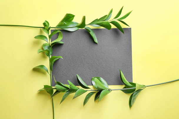 Branches of Ruscus and blank card on color background - Photo, Image