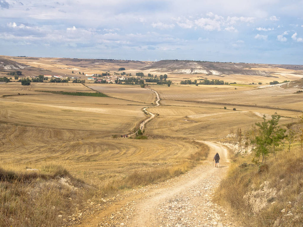Peregrinos caminham através da Meseta (planalto central) em direção a Hornillos del Camino - Castela e Leão, Espanha
 - Foto, Imagem