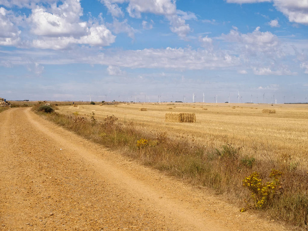 Camino de tierra a través de la Meseta - Hornillos del Camino, Castilla y León, España
 - Foto, imagen