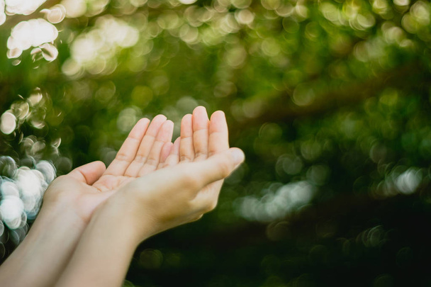 Woman hands place together like praying in front of nature green bokeh  background. - Photo, Image