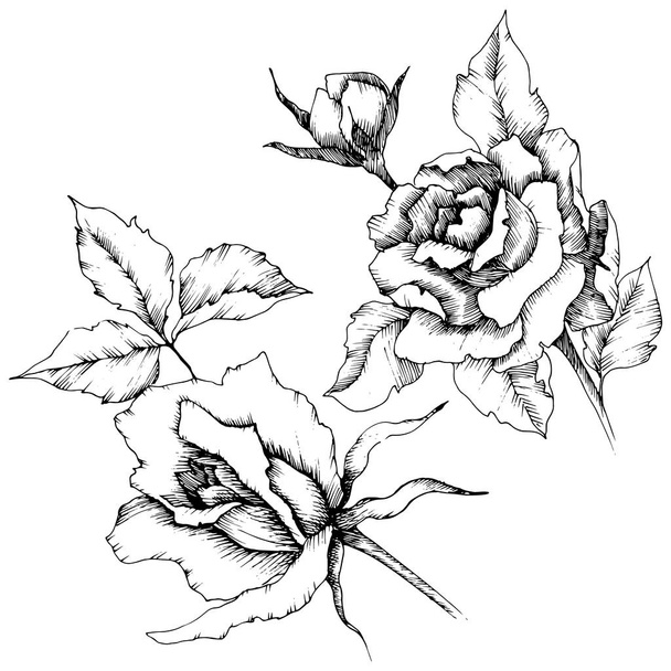 Розовый цветок в векторном стиле. Изолированная иллюстрация элемента. Полное название растения: роза. Векторный цветок для фона, текстуры, обертки, рамки или каймы
. - Вектор,изображение
