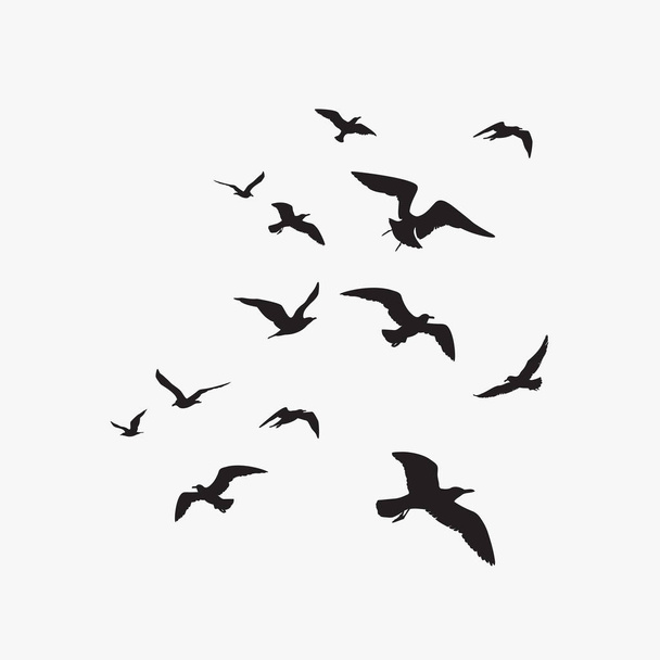 Poster mit schwarzen fliegenden Vögeln auf weißem Hintergrund - Vektor, Bild