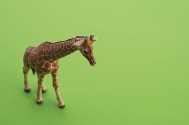 An giraffe animal is a children's toy. Plastic figurine for the game. Green background. Farm and the zoo. - 写真・画像