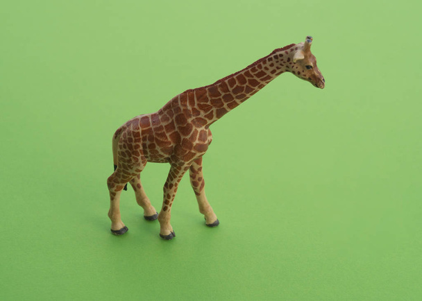 An giraffe animal is a children's toy. Plastic figurine for the game. Green background. Farm and the zoo. - Фото, изображение
