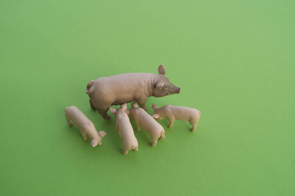An pig animal is a children's toy. Plastic figurine for the game. Green background. Farm and the zoo. - Fotó, kép