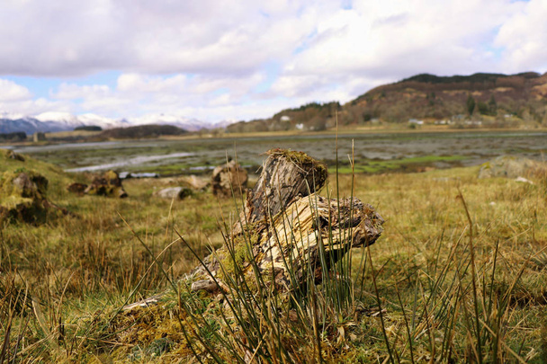 A old tree stump overgrown wild grass and view on the whole mud landscape in foothills Glen Coe in scotland - Photo, Image