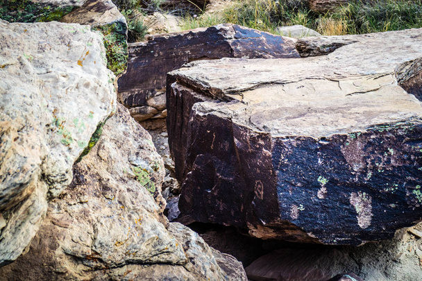 Петрифицированные породы в Национальном парке "Петрифицированный лес", Аризона
 - Фото, изображение