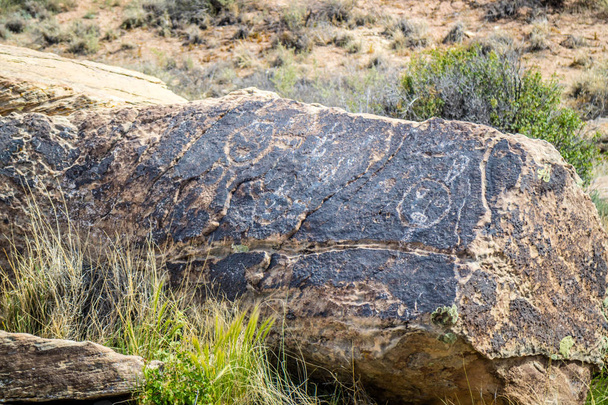 化石森林の国立公園、アリゾナ州で化石岩 - 写真・画像