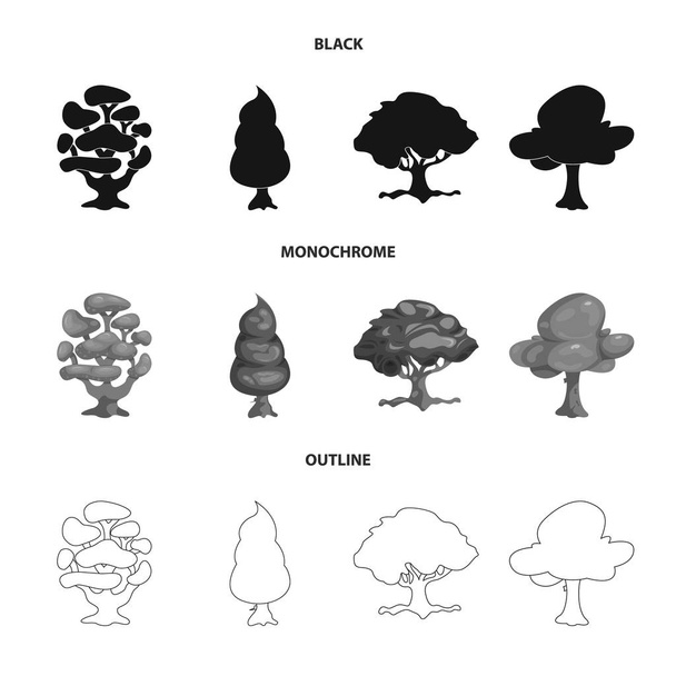 Isolated object of tree and nature symbol. Set of tree and crown stock symbol for web. - Vector, Image