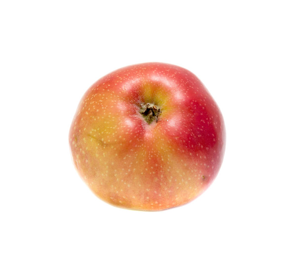Beyaz arka planda olgun bir elma - Fotoğraf, Görsel