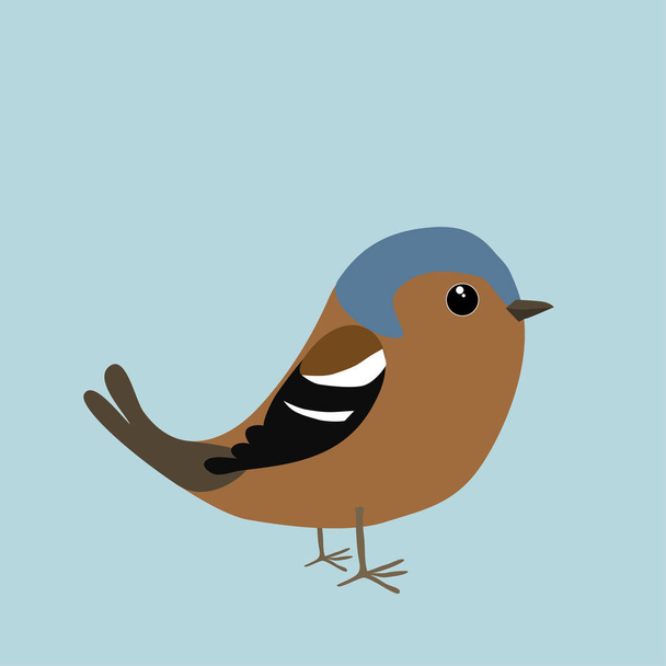 A chaffinch comic illustration - Vector, Image