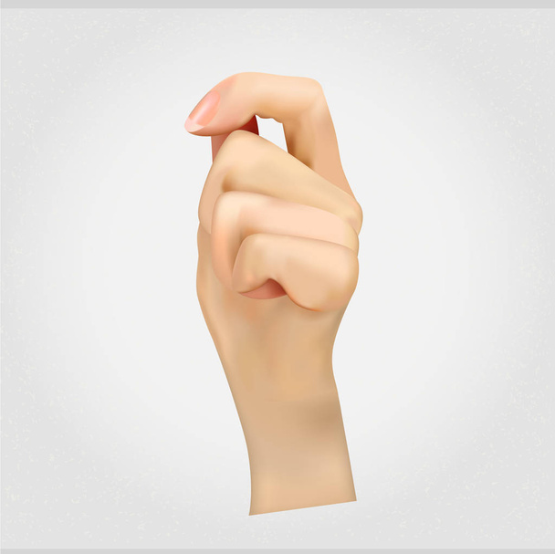 Vector realistic hand on a light background - Vector, Image