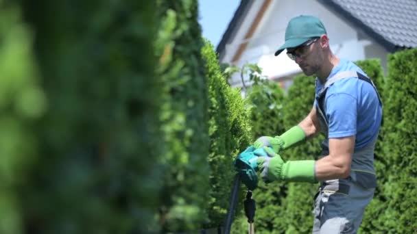 Zahradník v jeho 30s ořezávání tújí pomocí elektrický vyžínač - Záběry, video