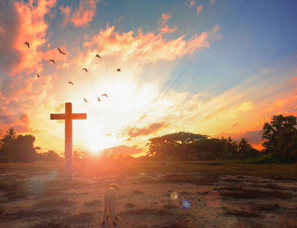 Zmartwychwstanie Jezusa Chrystusa koncepcja: Bóg Baranek przed krzyżem Jezusa Chrystusa na tle wschodu słońca - Zdjęcie, obraz
