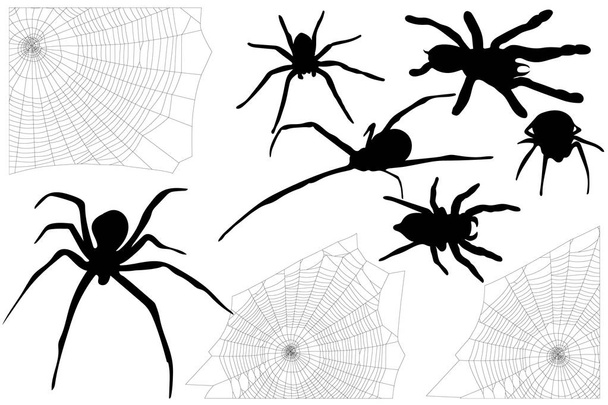 asetettu Halloween hämähäkkejä ja niiden rainoja
 - Vektori, kuva