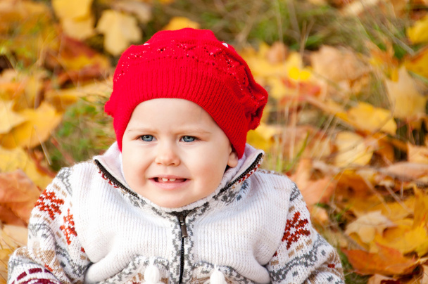 Little cute baby girl on a background of autumn leaves - 写真・画像