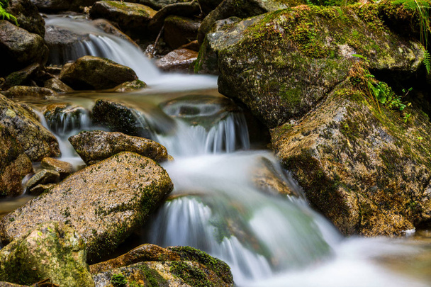 Escena con arroyo de montaña entre piedras mojadas
 - Foto, imagen