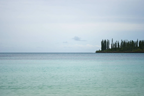 Een kaap of baai aan de Isle of Pines strekt zich in het rustige blauwe water van de Stille Zuidzee. Het is bedekt met pijnbomen. De hemel is blauw met zwakke wolken. - Foto, afbeelding