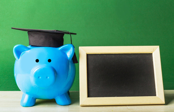 College graduate student diploma piggy bank - Foto, Imagem