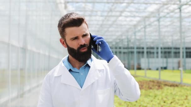 Worker walking in a greenhouse using mobile and talking on smartphone. Agricultural engineer working in greenhouse - Footage, Video