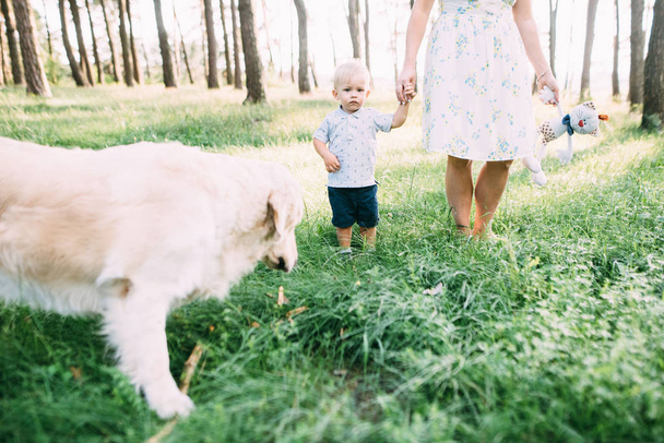 A young, sympathetic mother with a son and a dog actively and cheerfully spend time in nature. - Фото, зображення