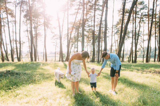 A cute family - mom, dad and son spend fun time outdoors with their dog. - Fotografie, Obrázek