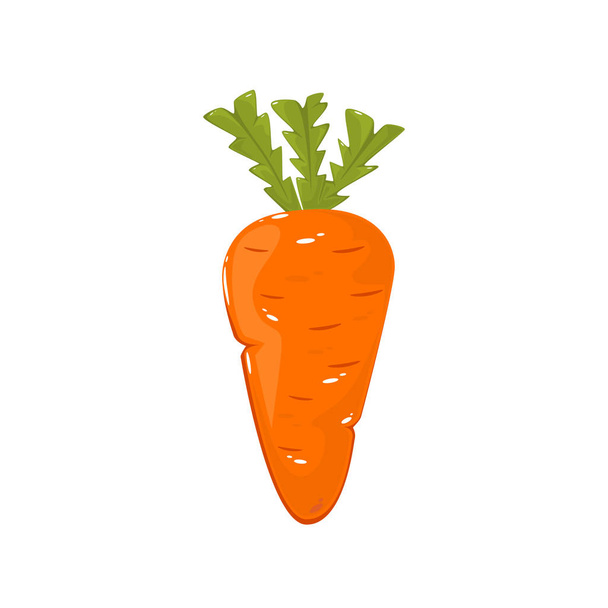 Delicious ripe carrot isolated on white background, illustration. - Vektör, Görsel