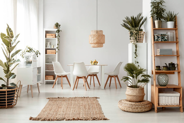 Rug and plants in natural bright dining room interior with white chairs and table under lamp. Real photo - Foto, Bild