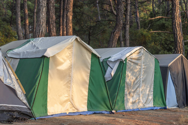Перспективная съемка палаток на территории кемпинга в лесу на закате
 - Фото, изображение