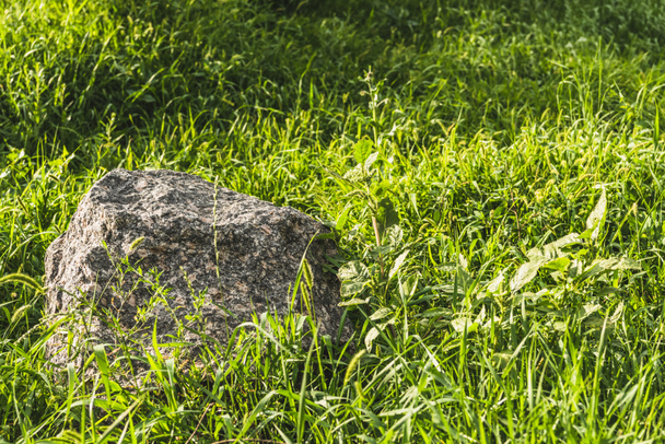 cuadro completo de piedra que yace en la hierba verde bajo la luz del sol
 - Foto, imagen