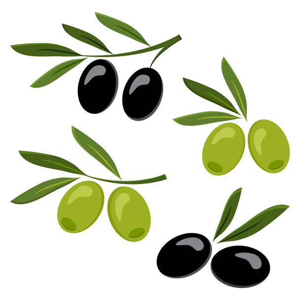Colored set of black and green olives. Vector illustration - Vektori, kuva