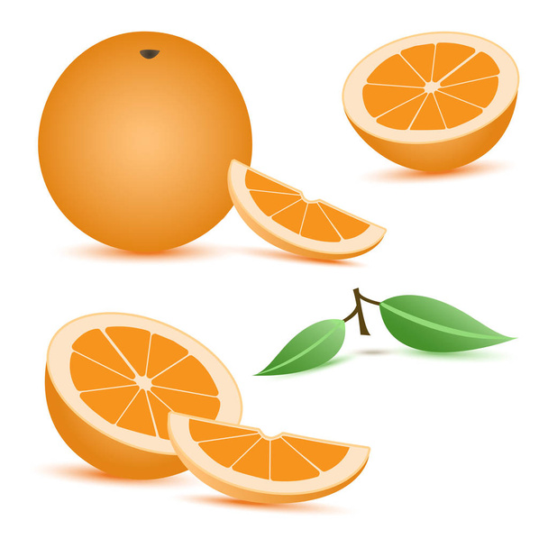 Orange citrus set. Vector illustration - Wektor, obraz