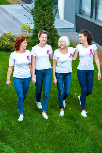 high angle view of four women with breast cancer awareness ribbons walking together on green lawn  - Valokuva, kuva