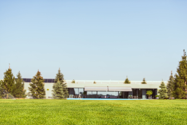 foco seletivo de gramado verde e casa de campo moderna sob céu azul claro
  - Foto, Imagem
