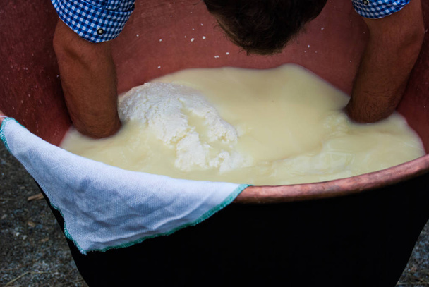 Cheesemaker showing the proceeding to make cheese from the milk - Photo, Image