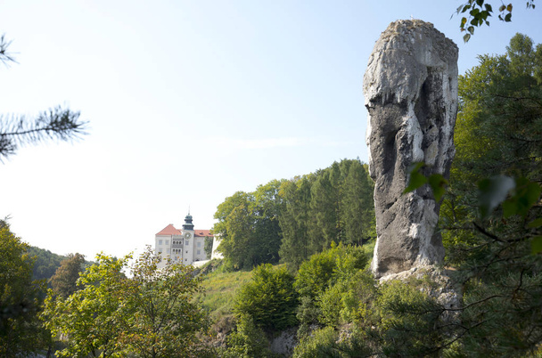 Renesanční zámek Pieskowa Skala se nachází v národním parku Ojcw - Fotografie, Obrázek