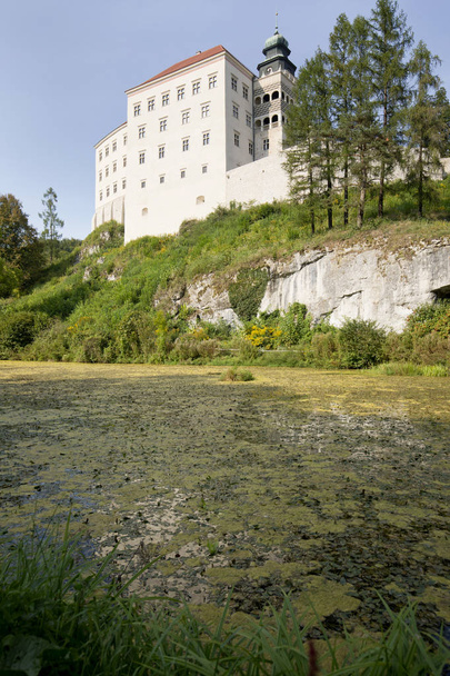 Renesanční zámek Pieskowa Skala se nachází v národním parku Ojcw - Fotografie, Obrázek