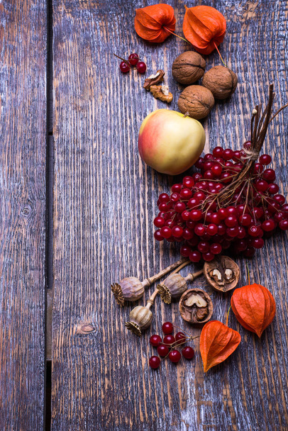 Fresh natural organic fruits and berries - autumn harvest of red ripe viburnum, aples, nuts, phisalis on a wooden background with copy space. Top iew. - Fotoğraf, Görsel
