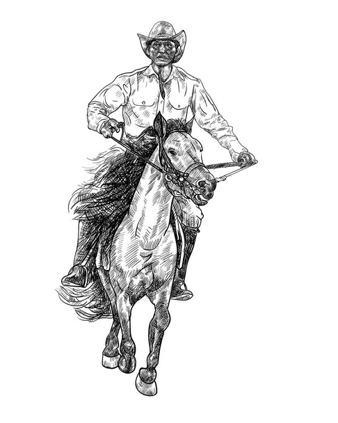 Černobílá kresba jezdeckého koně, vektorová ilustrace. - Vektor, obrázek