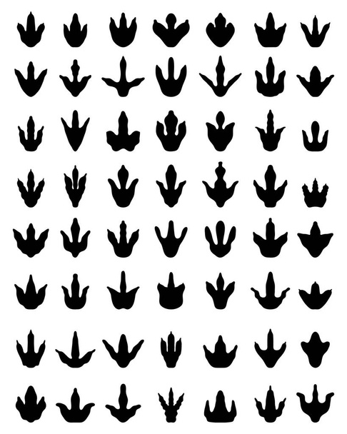 Fekete lábnyomok dinoszauruszok fehér alapon - Vektor, kép