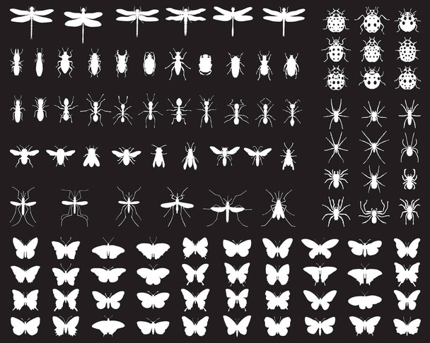 silhuetas pretas de insetos em um fundo branco - Vetor, Imagem