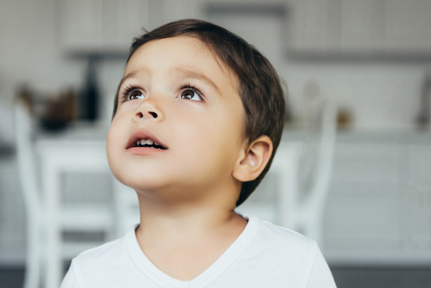 portrait of adorable innocent boy looking up at home - Foto, immagini